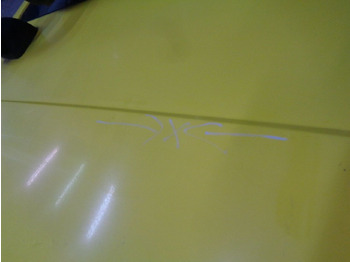 Uşă și piese pentru Camion DAF XF 105 L   DAF XF 105 truck: Foto 3