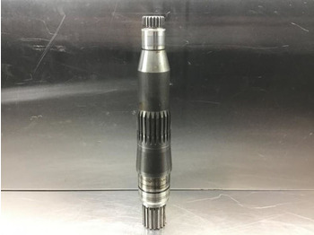 : fotografie din antet