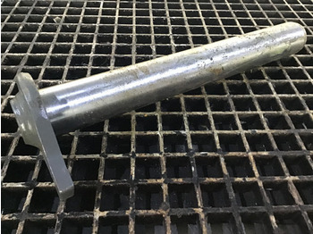 : fotografie din antet