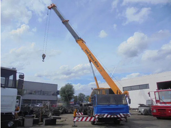 : fotografie din antet