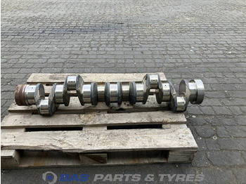 : fotografie din antet