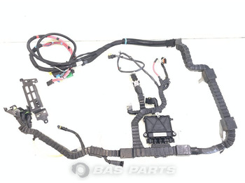 Cablu/ Fire electric DAF