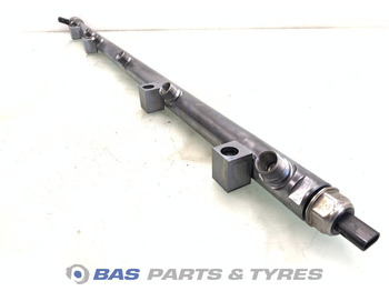 : fotografie din antet