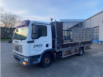 Camion transport auto MAN TGL 10.180