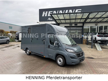 Camion transport cai FIAT Ducato