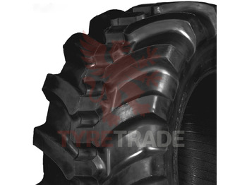 : fotografie din antet