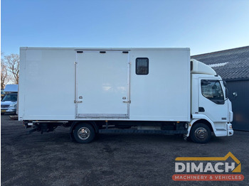 Leasing de DAF FA LF45.150 4 paards, laadlift. Horsetruck NL truck DAF FA LF45.150 4 paards, laadlift. Horsetruck NL truck: Foto 4