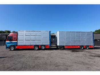 Camion transport animale VOLVO FH13 480