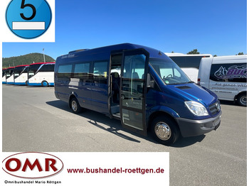 Microbuz MERCEDES-BENZ Sprinter 519