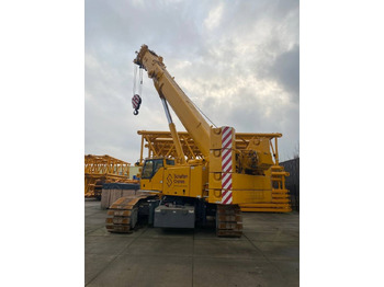 Macara pe senile LIEBHERR LTR 1100