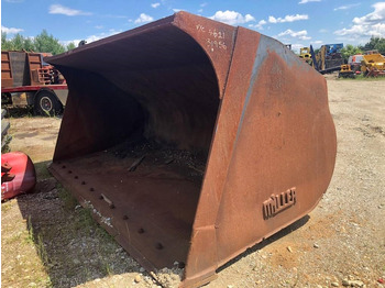 : fotografie din antet