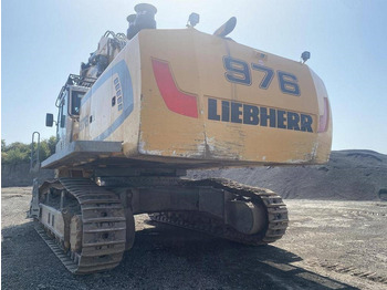 Excavator pe şenile Liebherr R 976 HD: Foto 3
