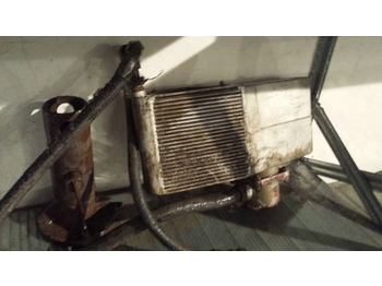 : fotografie din antet