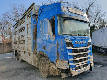 Camion transport animale SCANIA R 580