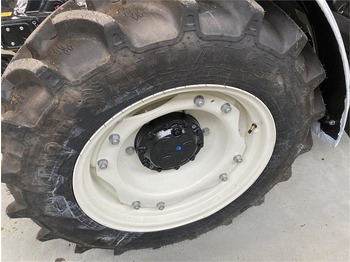 : fotografie din antet