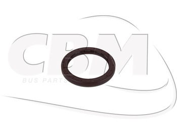 Diferențial IRISBUS