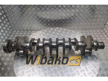 Arbore cotit IVECO