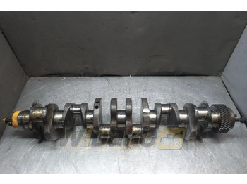 : fotografie din antet