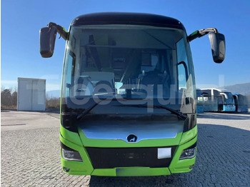 Leasing de  Man Lion's Coach Man Lion's Coach: Foto 2