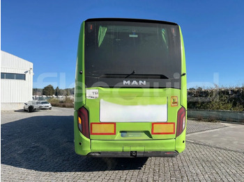 Leasing de  Man Lion's Coach Man Lion's Coach: Foto 5