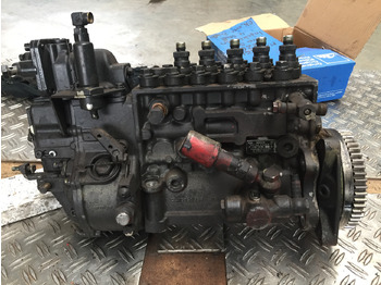 : fotografie din antet