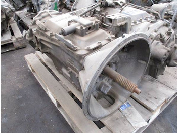 : fotografie din antet