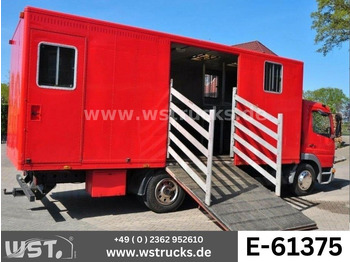 Camion transport cai MERCEDES-BENZ
