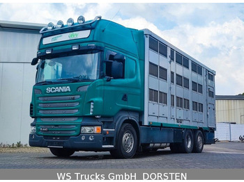 Camion transport animale Scania R 440 Topline KABA 3 Stock Hubdach: Foto 1