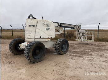 Nacela articulata HAULOTTE
