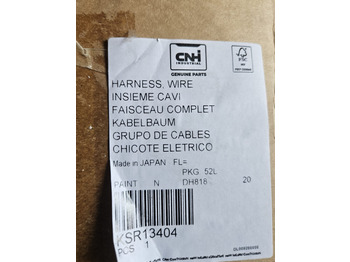 Cablu/ Fire electric CASE