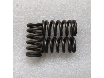 Leasing de FLAND FL45 Mini Wheel Loader Clutch Springs FLAND FL45 Mini Wheel Loader Clutch Springs: Foto 4