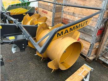 : fotografie din antet