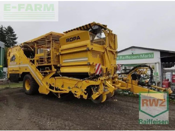 Combină de recoltat cartofi Ropa keiler ii classic: Foto 2 Combină de recoltat cartofi Ropa keiler ii classic: Foto 2