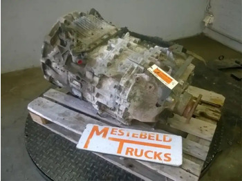 : fotografie din antet