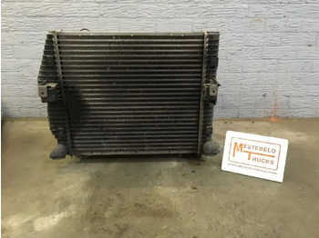 : fotografie din antet