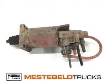 : fotografie din antet