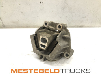 : fotografie din antet