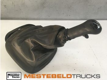 : fotografie din antet