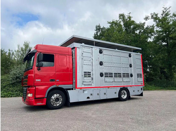 Camion transport animale DAF XF 106 460