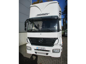 Camion transport cai Mercedes-Benz Axor 1833 - Horse transporter: Foto 3