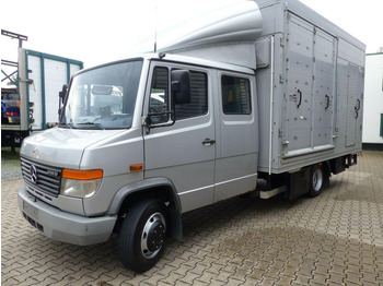 Camion transport cai MERCEDES-BENZ Vario