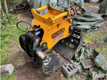 : fotografie din antet