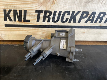 : fotografie din antet