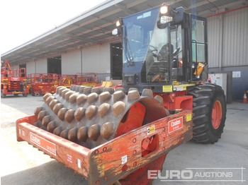 : fotografie din antet