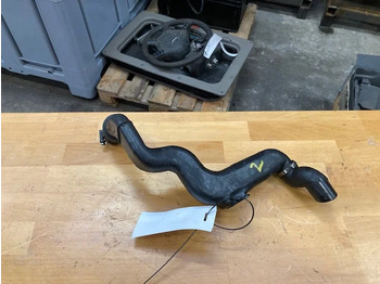 : fotografie din antet