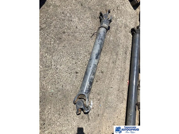 : fotografie din antet