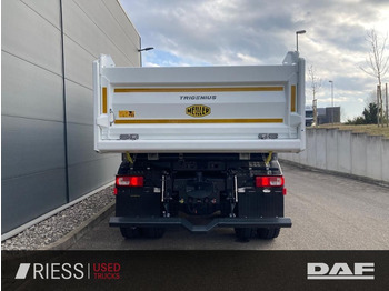 Leasing de DAF XFc 480 FAT 6x4 Intarder Bordmatik Trigenius  DAF XFc 480 FAT 6x4 Intarder Bordmatik Trigenius: Foto 5