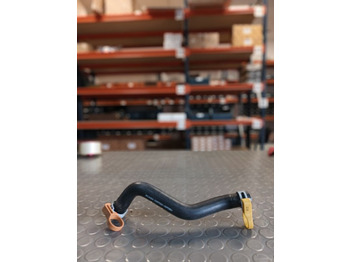 : fotografie din antet