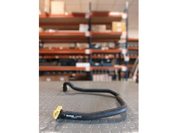 : fotografie din antet