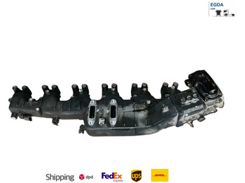 : fotografie din antet